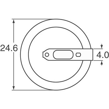 CR-2450/H1AN