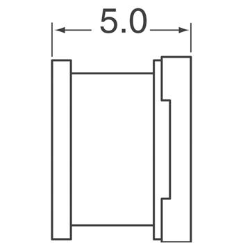 CEP125NP-1R0MC-HD