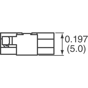 NR10050T101M