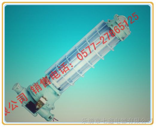 供应36W矿用荧光灯，*爆荧光灯，DGS36/127Y(A)