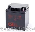 供应台湾csb蓄电池（标配）