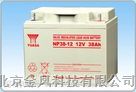 广东汤浅蓄电池-NP38AH-质保产品