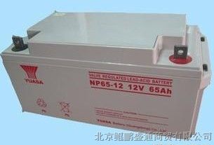 供应江苏理士蓄电池报价-理士蓄电池*DJM100-12产品价格