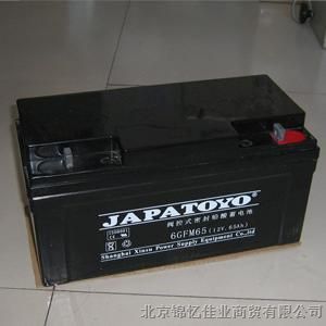 供应ups铅酸阀控式蓄电池 北京供应商
