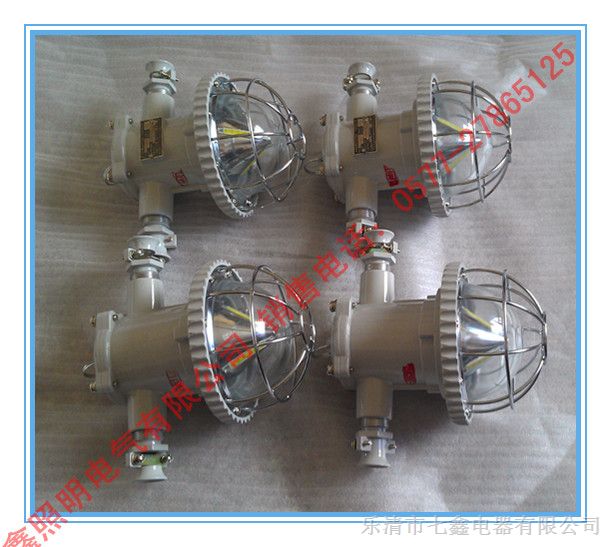 供应DGS12/127L（A、B）矿用巷道灯