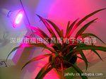 新款特卖LED灯具LED植物生长灯6WE27655-660NM