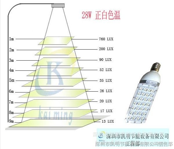 供应24W系列玉米灯(图)