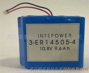 供应武汉银泰科技锂亚电池组合型电池