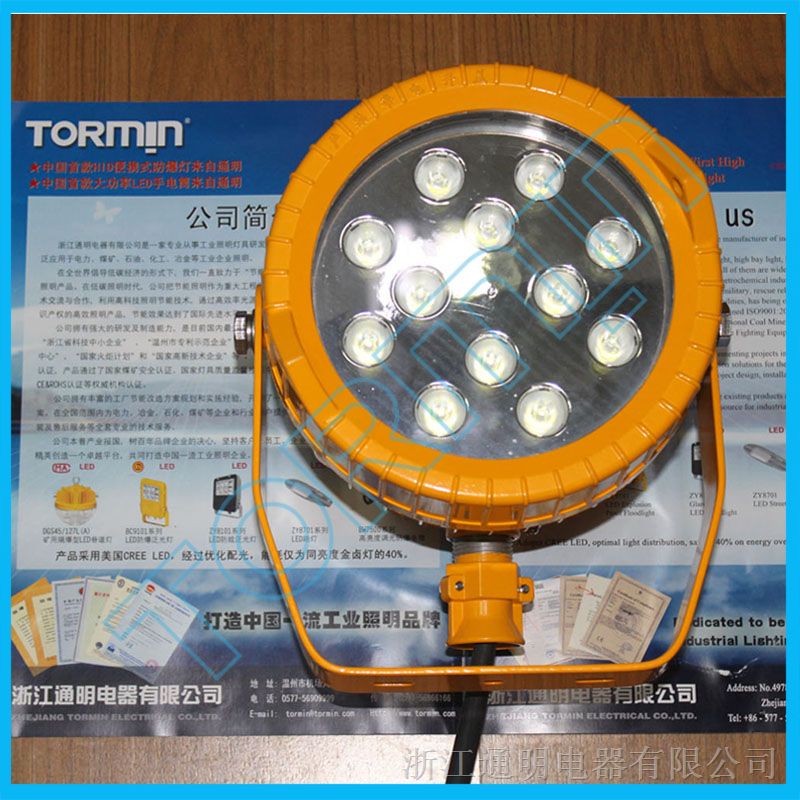 供应BC9501LED*爆投光灯25W，40W，60W