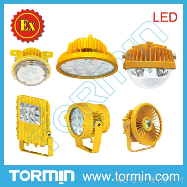 LED*爆灯具生产厂家