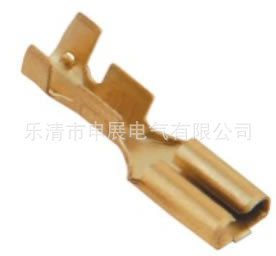 DJ626-D4.8×0.8BDSn链连接器 插簧 链端子