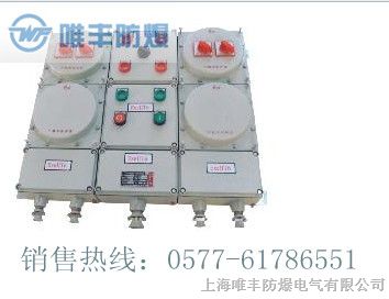 供应BXM51照明*爆配电箱（IIB）|ExdeT6-IP54