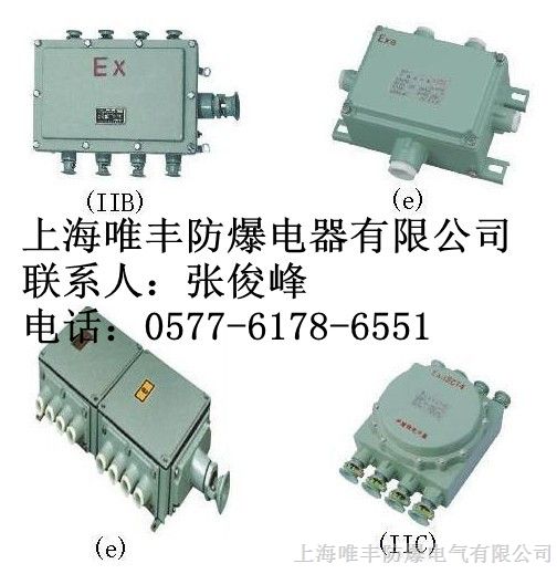 供应山东BJX51系列*爆接线箱/*爆端子接线箱（IIB、IIC）