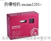 供应防爆相机--excam1201