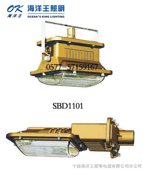 *D1101