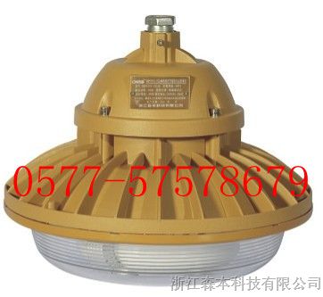 免维护*厂用*水*尘*腐灯