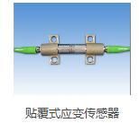 [*]：贴覆式应变光纤光栅传感器 （高/高稳定性）