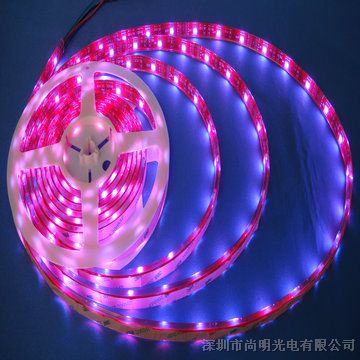供应LED软灯条深圳生产*