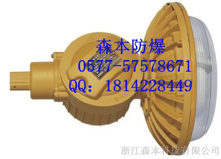 供应*D1102-YQL40免维护**爆灯