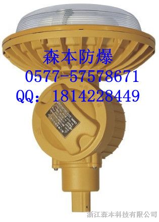 供应40瓦电磁感应灯*D1102-YQL40