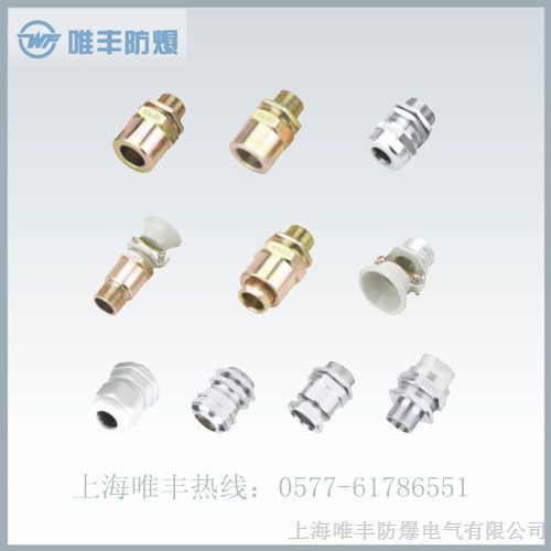 供应BDM*爆隔离密封接头ˇ*爆电缆密封接头