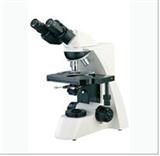 上海缔伦光学双目生物显微镜TL3000A
