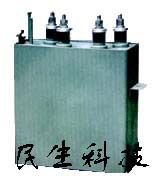 RWF电热电容器