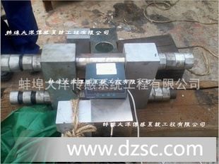 定做起重限制器、张力传感器