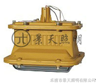 供应景天照明▲*D1101【*D1101隔爆型免维护灯】【*D1101-YQL50D】