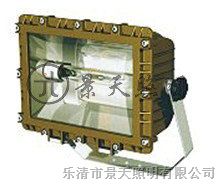 供应景天照明▲*D1109【*D1109免维护**爆泛光灯】【*D1109】