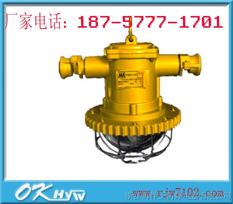 供应DGS24/127L(A)矿用LED巷道灯(圆形）