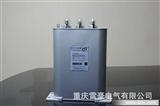 REHAOO精工品质电容器BSMJ,BCMJ,BAMJ450V-20-3
