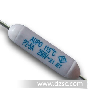 aupo 雅宝 P2-5A-F 温度保险丝 温度熔断器 热熔断器 保险丝