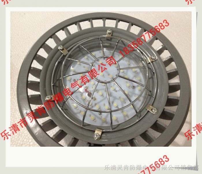 DGS40/127L(A)矿用隔爆型LED巷道灯