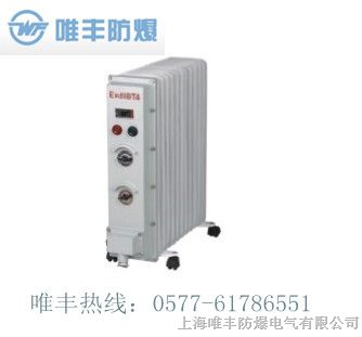 供应1500W*爆电热油汀器，*爆取暖器