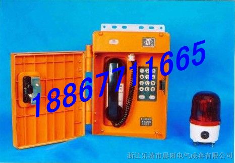 供应HAT86（XII）P/T-D传呼型特种*爆电话机