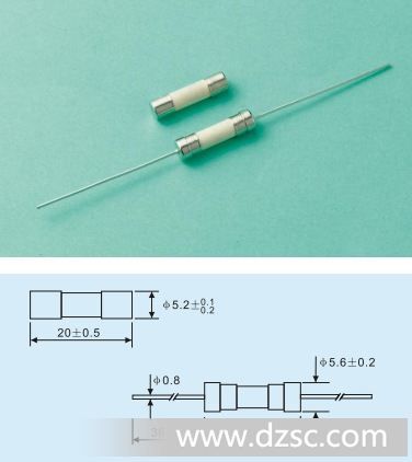 5*20慢断陶瓷保险丝管