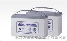 理士蓄电池DJM12-38(12V38AH)价格