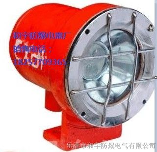 供应和宇DGY9/24L(A)矿用隔爆型LED机车灯LED照明灯