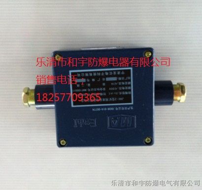 JHH-2本安接线盒厂家批发