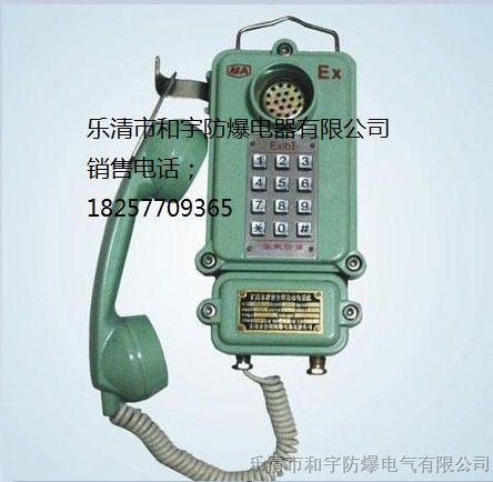 供应KTH106-1Z型矿用本质*型自动电话机