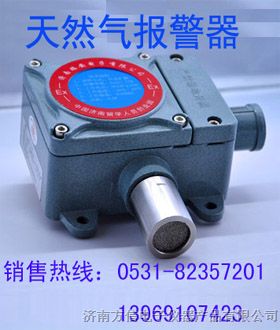 供应天然气泄露报警器