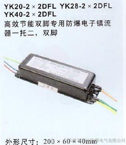 供应YK20-2DFL，YK20-2DFL型*爆电子镇流器