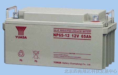 汤浅12V65AH/NP65-12密封免维护铅酸蓄电池