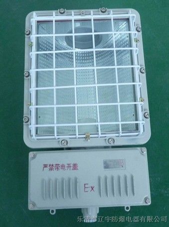 供应BTd-400W（一体式）*爆泛光灯（IIB）|BTd-400W（一体式）*爆泛光灯