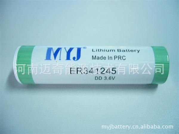 河南迈奇供应柱式锂电池ERMA