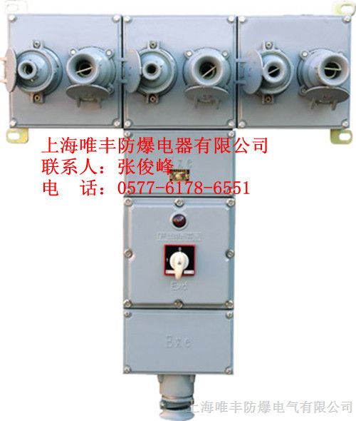 供应*爆检修电源插座箱|BXS-铸铝材质