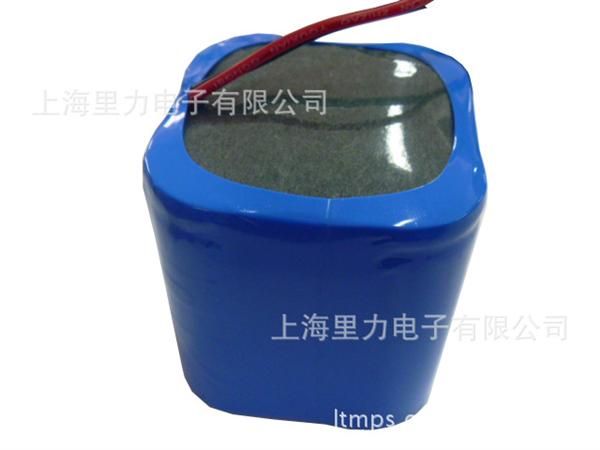 上海里力锂电池组/LP0303-3.2V-20AH/可定做!大量批发可优惠!