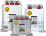 九康BSMJ电力电容 自愈式低电压并联电容器BSMJ0.4-20-3