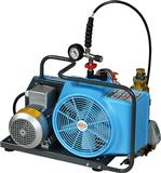 德*亚Junior II压缩空气充气泵/充气机装置有P21-Triplex过滤装置